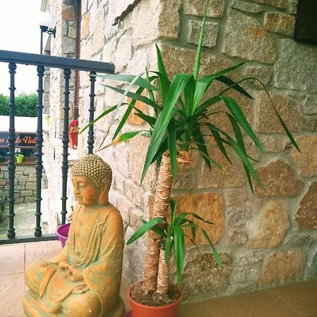 Отель Zen Buda 3*